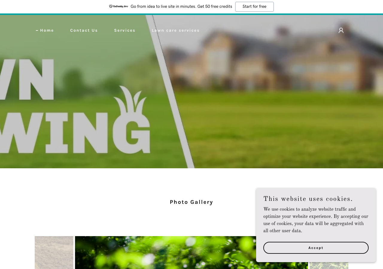 Current website screenshot