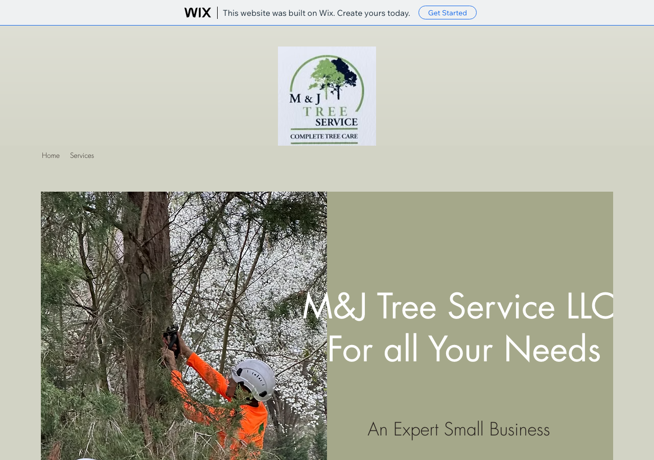 Current website screenshot