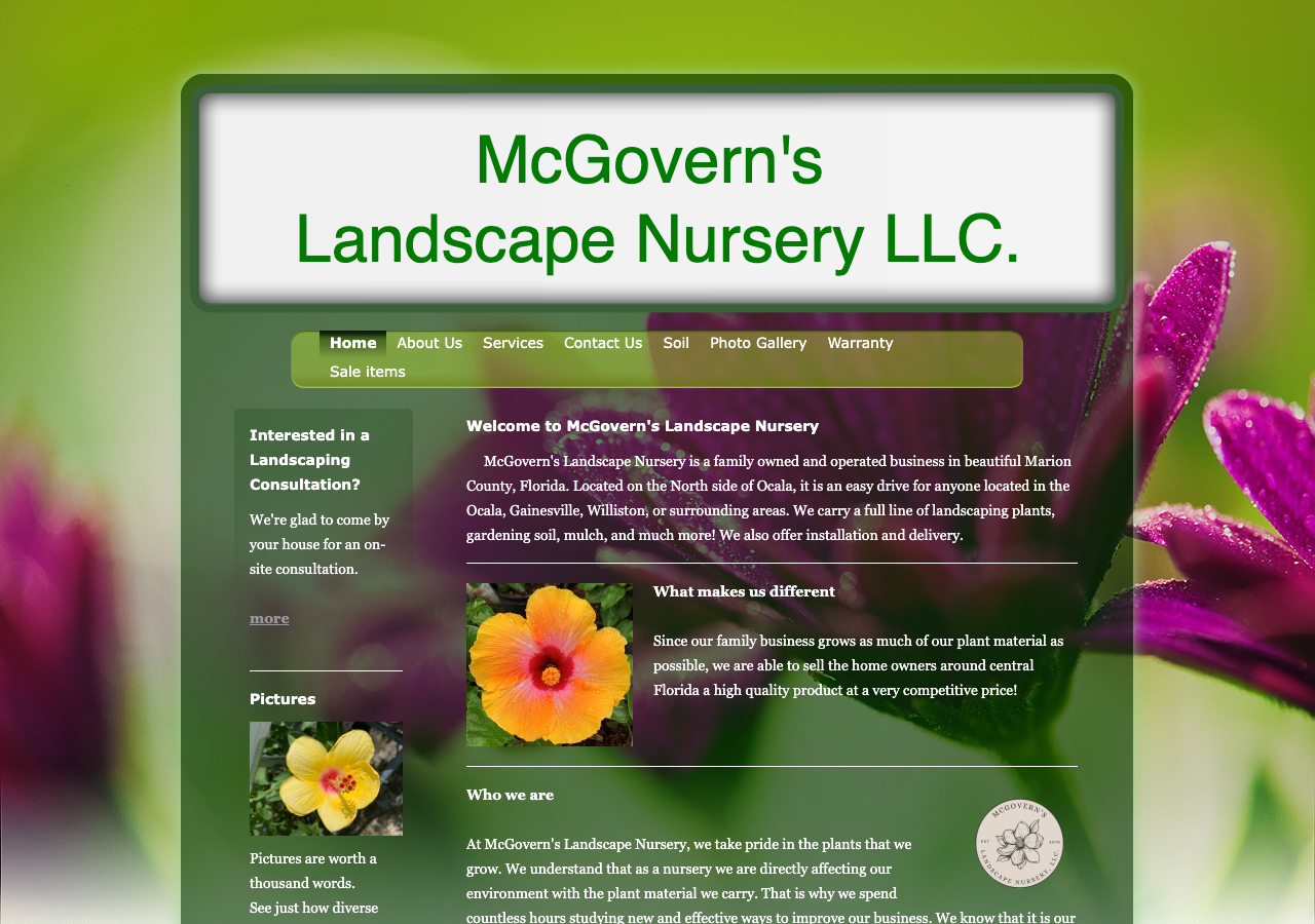 Current website screenshot
