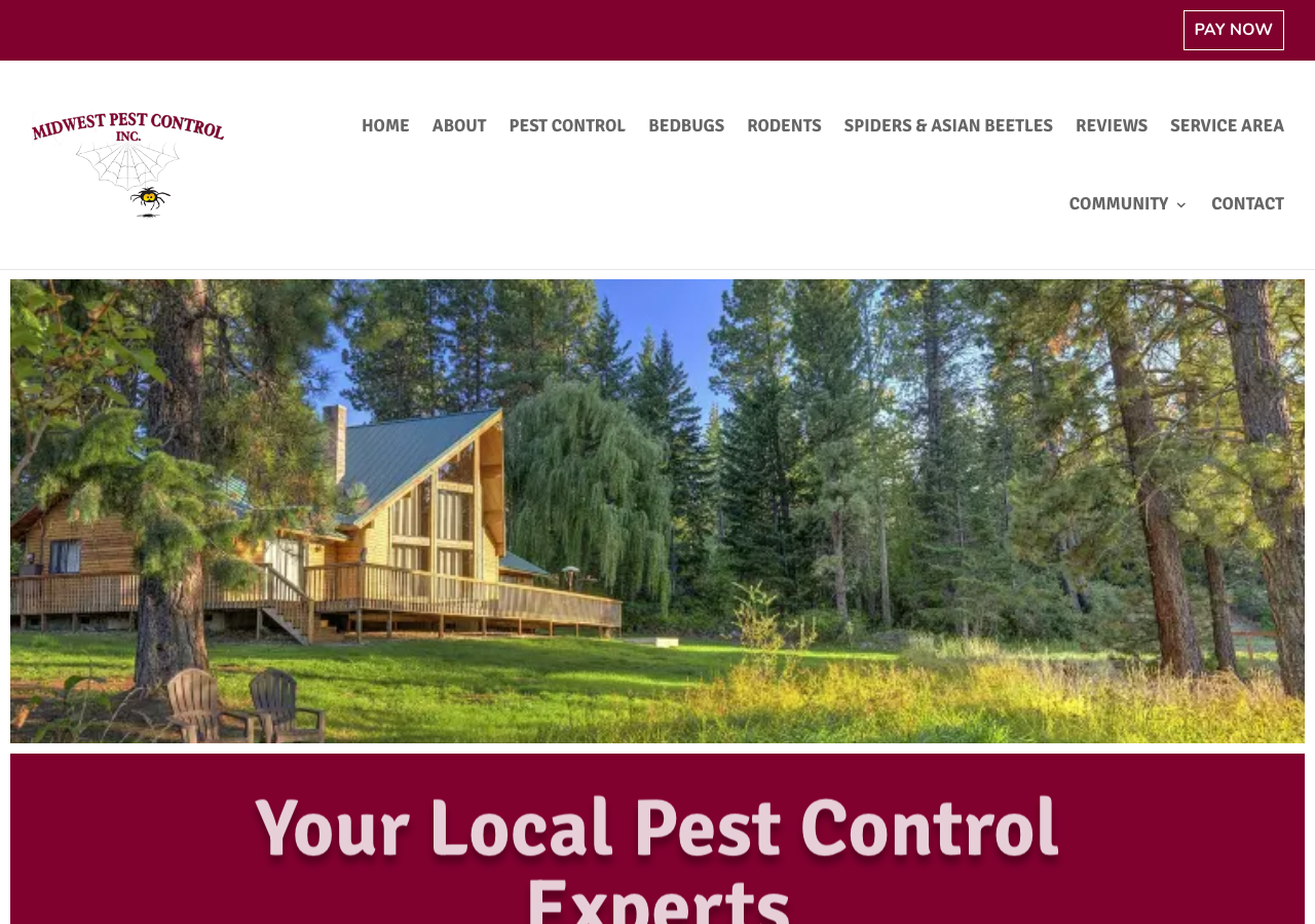 Current website screenshot