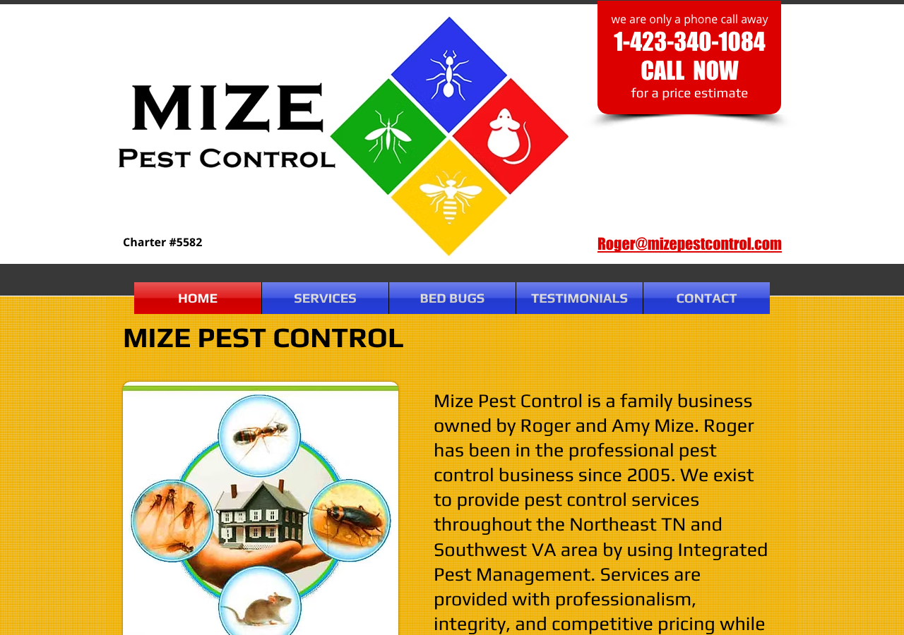 Current website screenshot