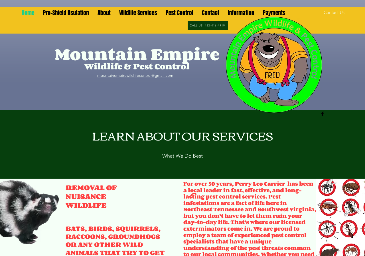 Current website screenshot