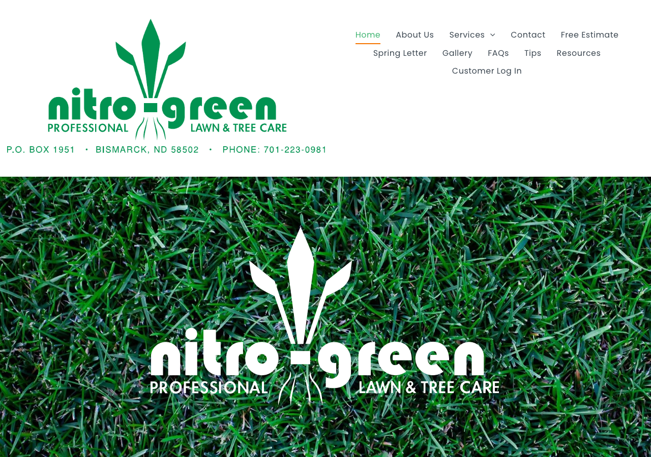 Current website screenshot