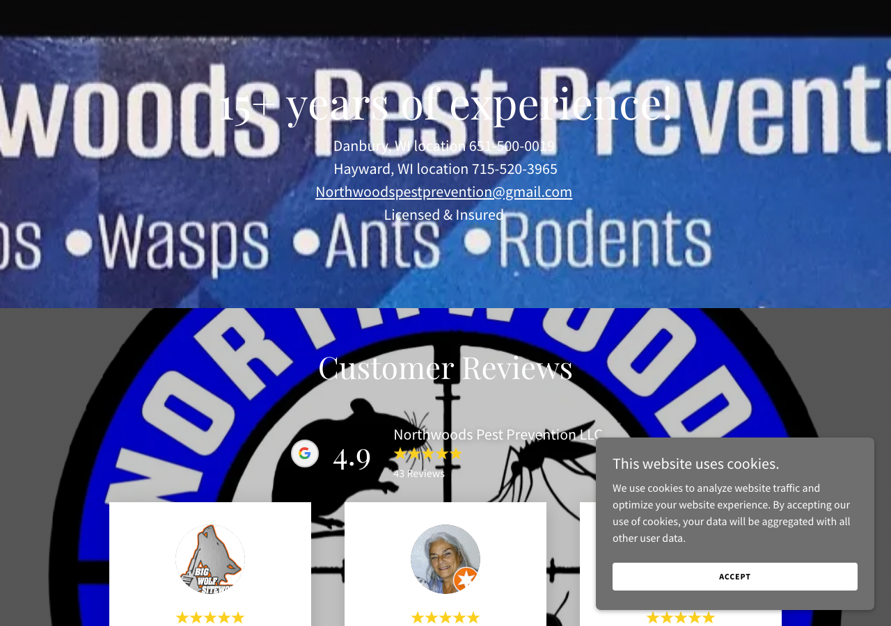 Current website screenshot