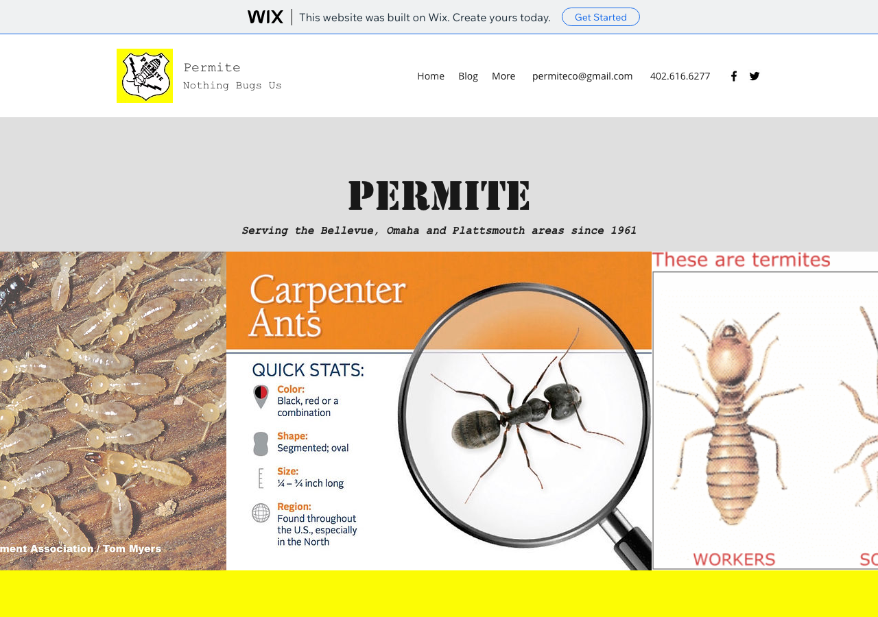 Current website screenshot