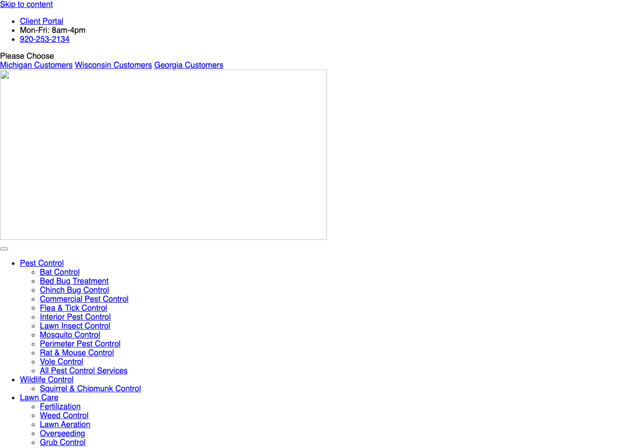 Current website screenshot