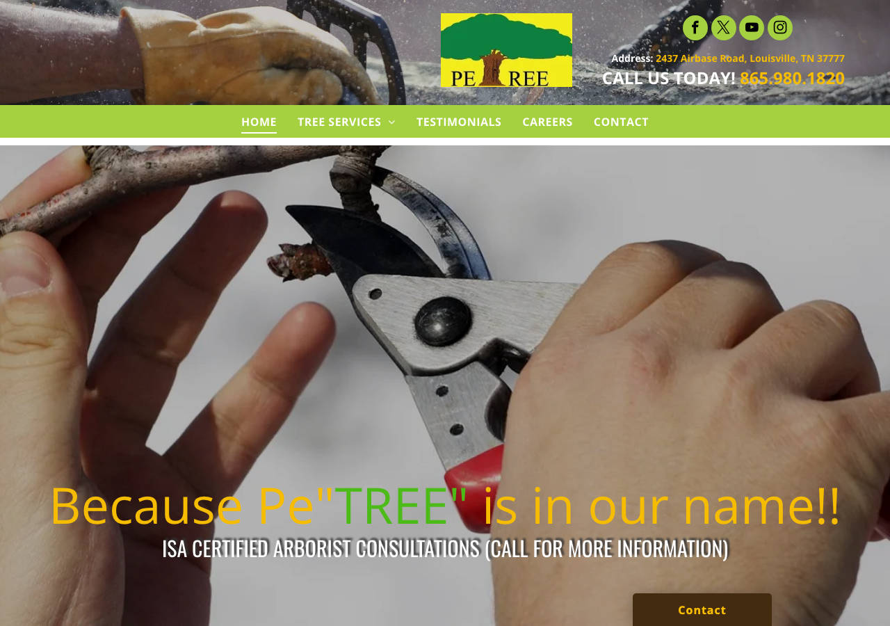 Current website screenshot