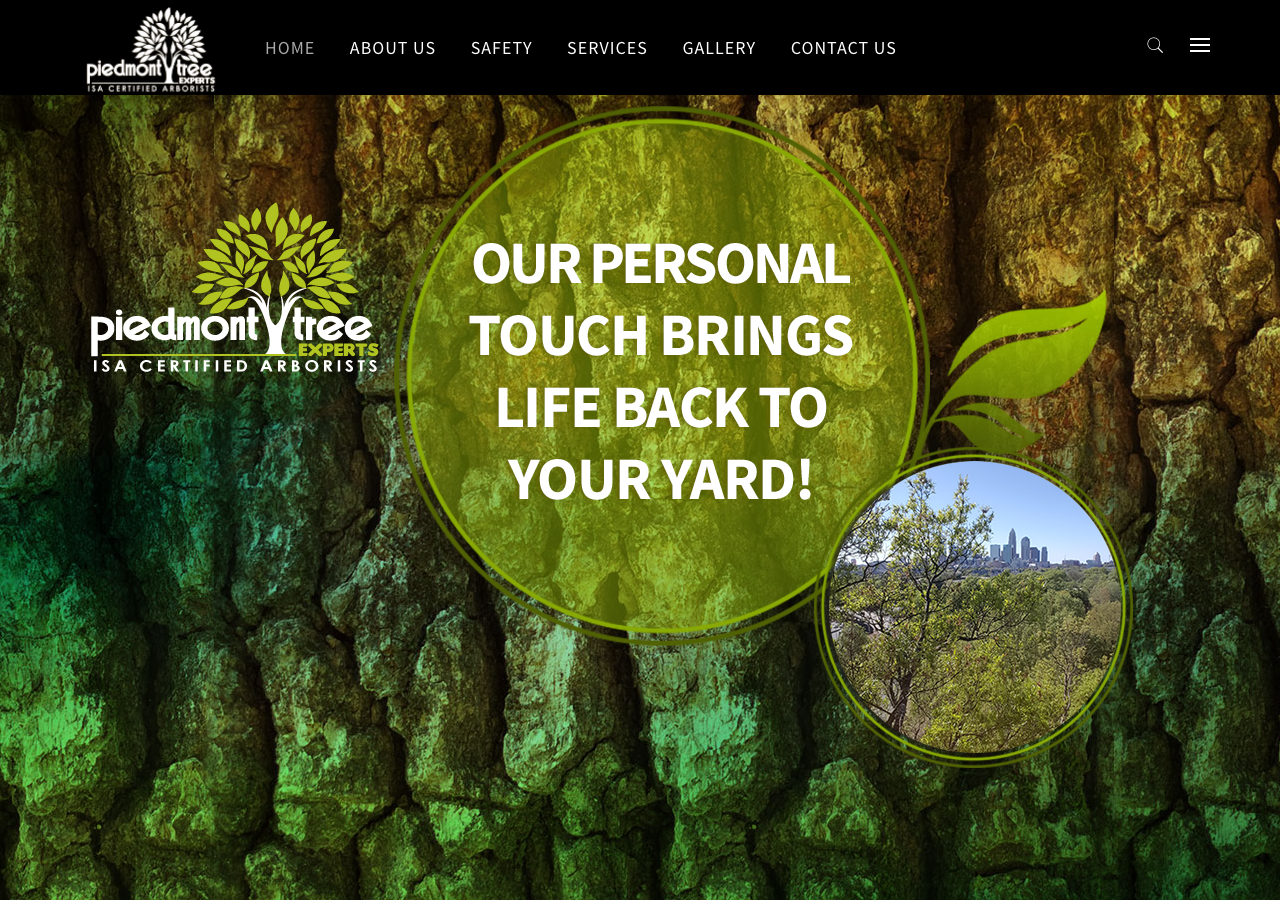 Current website screenshot