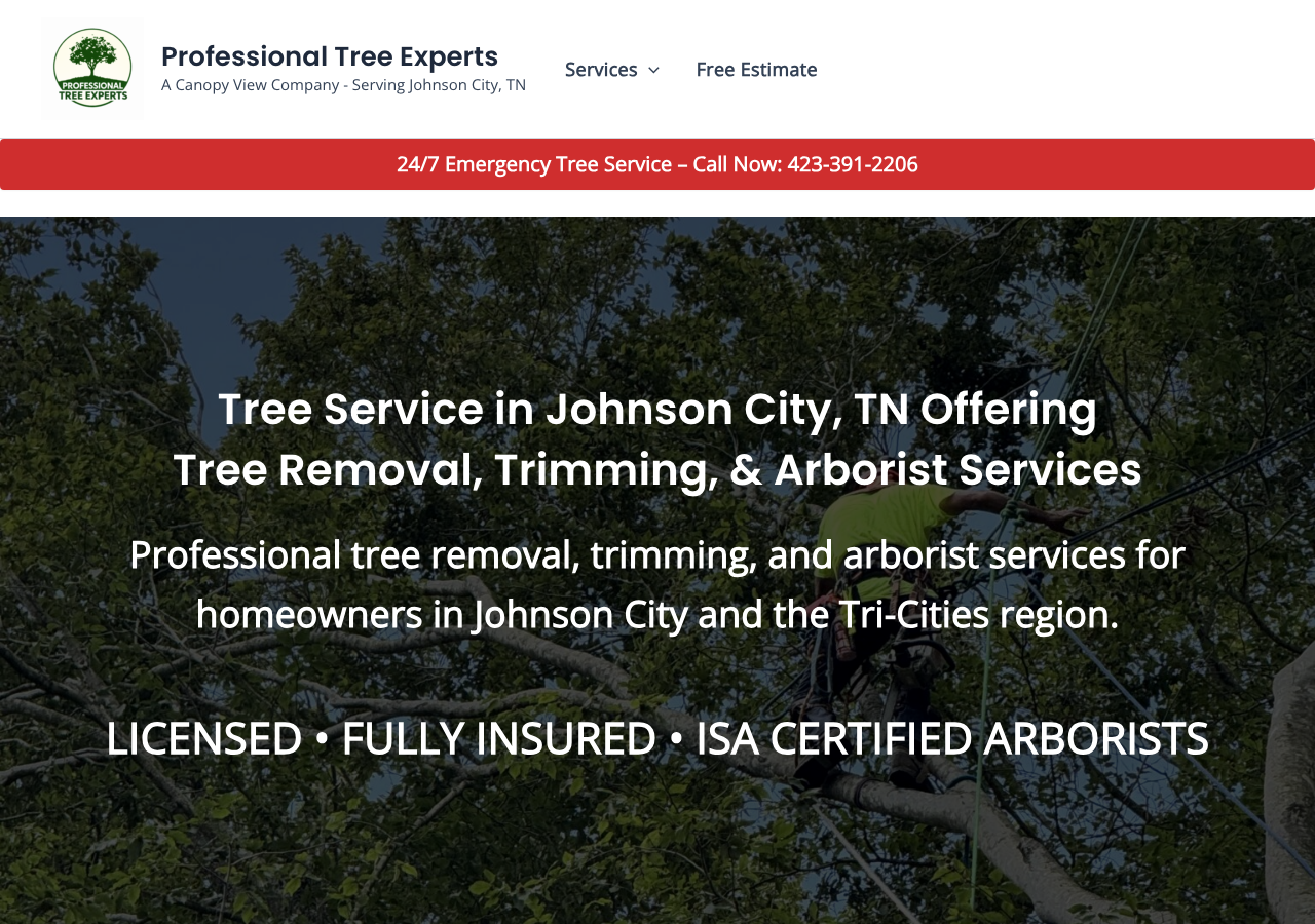 Current website screenshot
