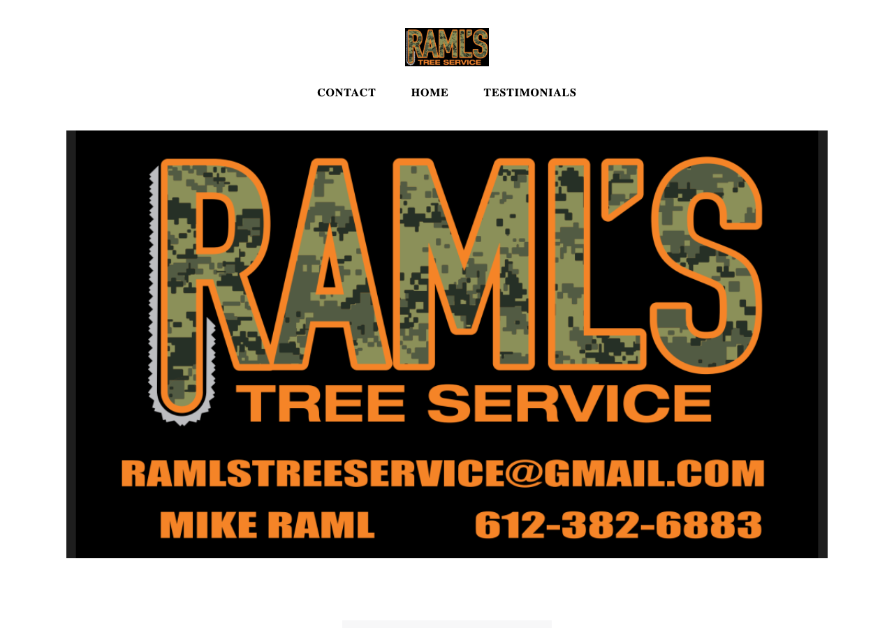 Current website screenshot