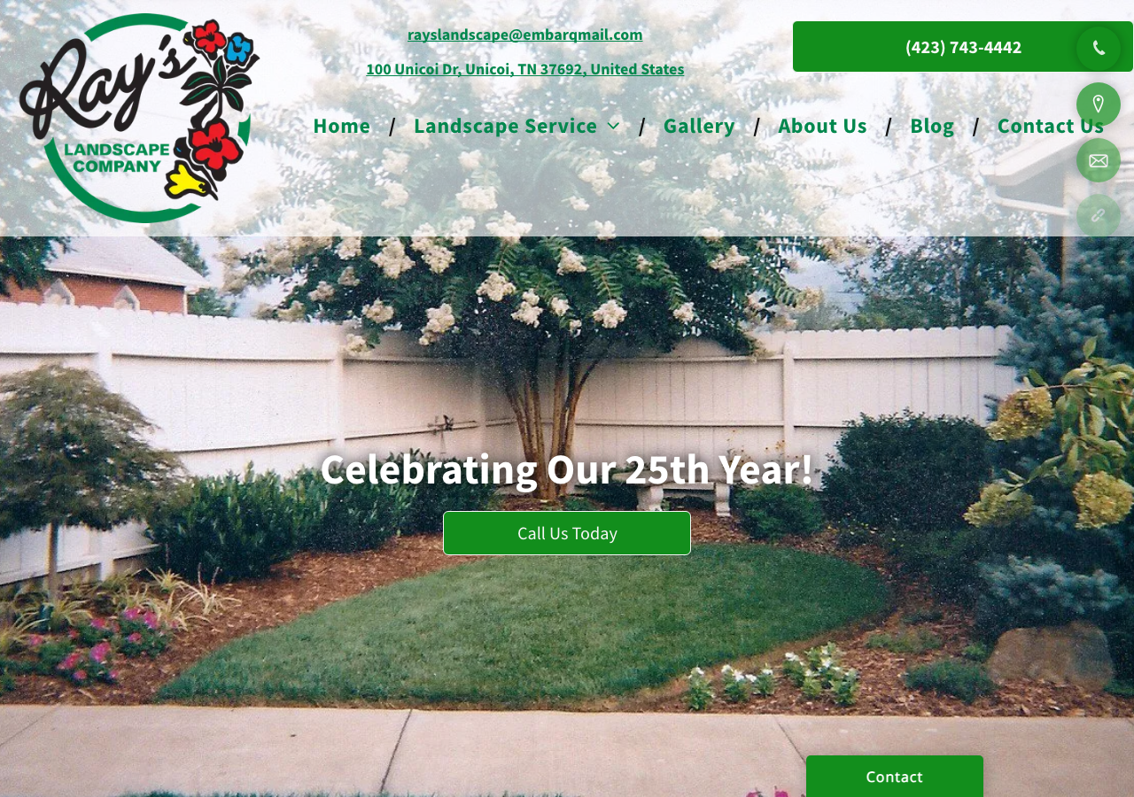 Current website screenshot