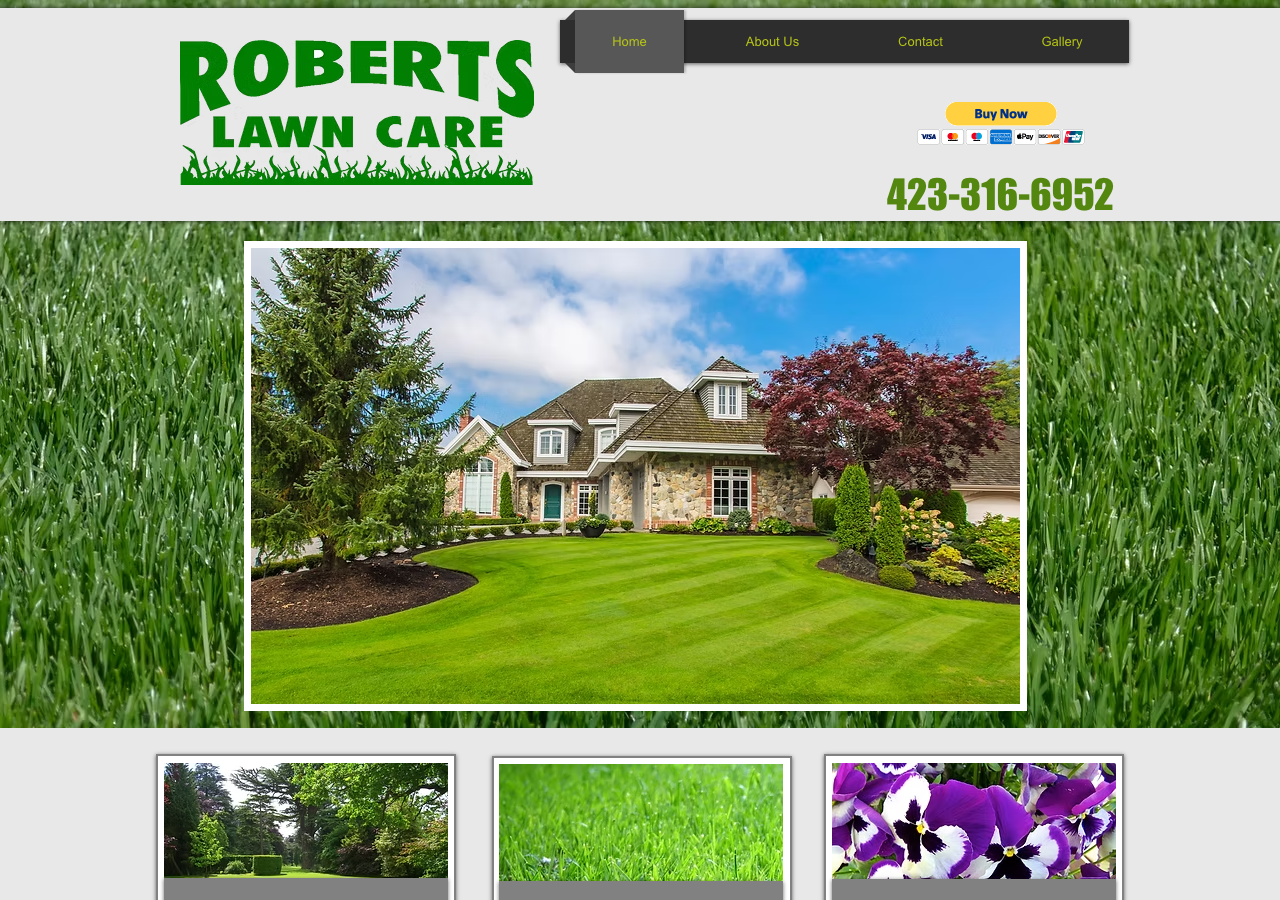 Current website screenshot
