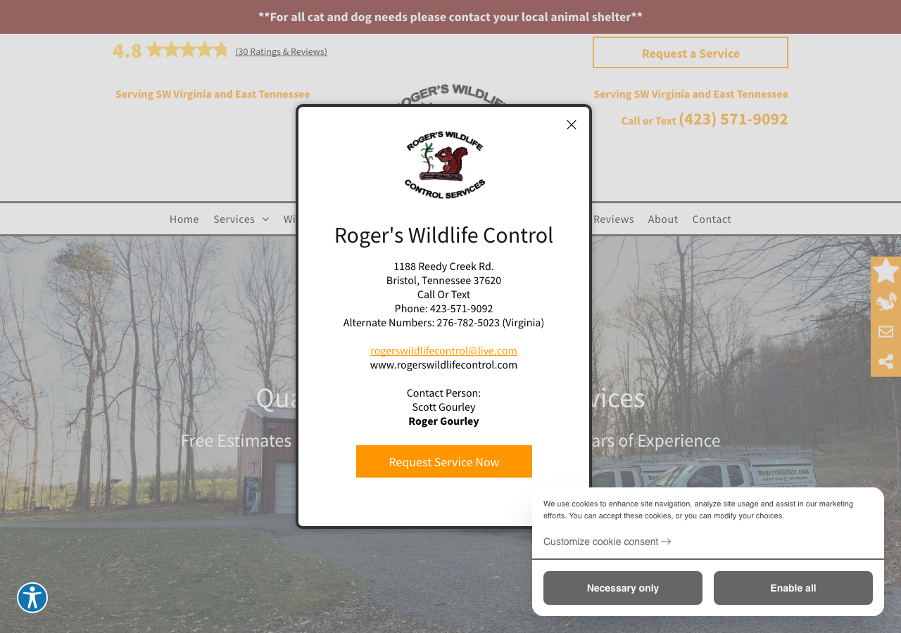 Current website screenshot