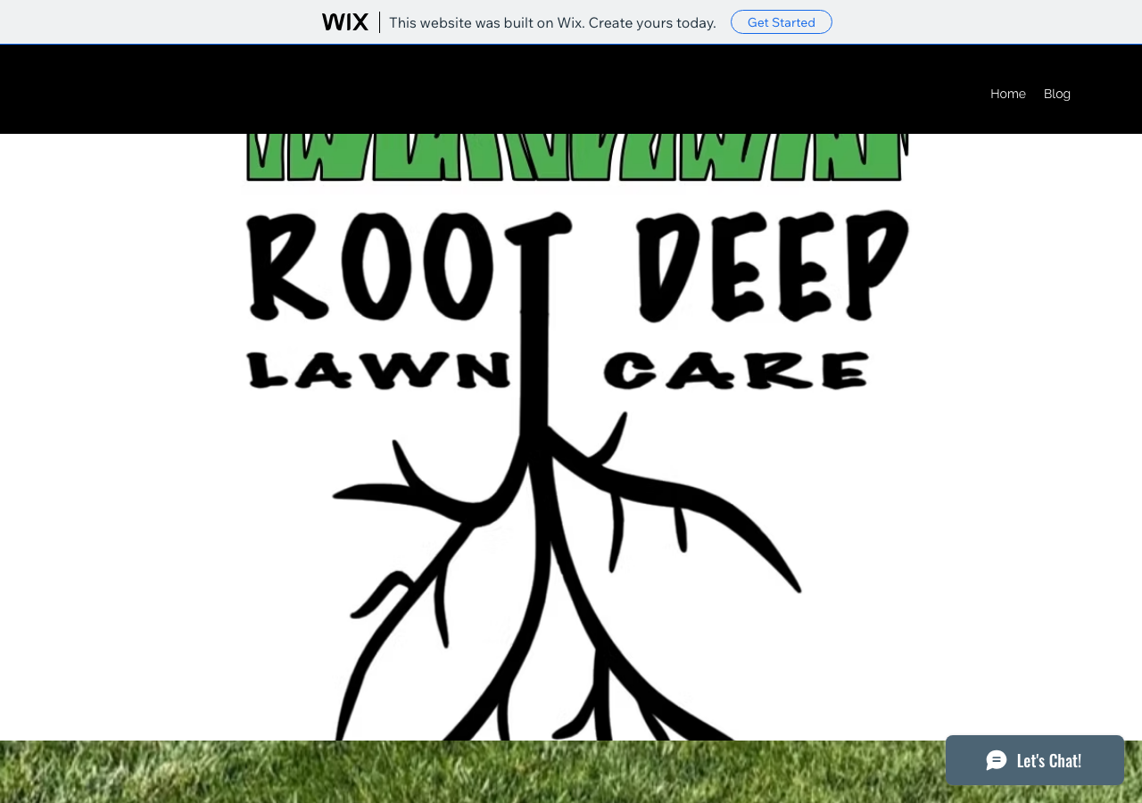 Current website screenshot