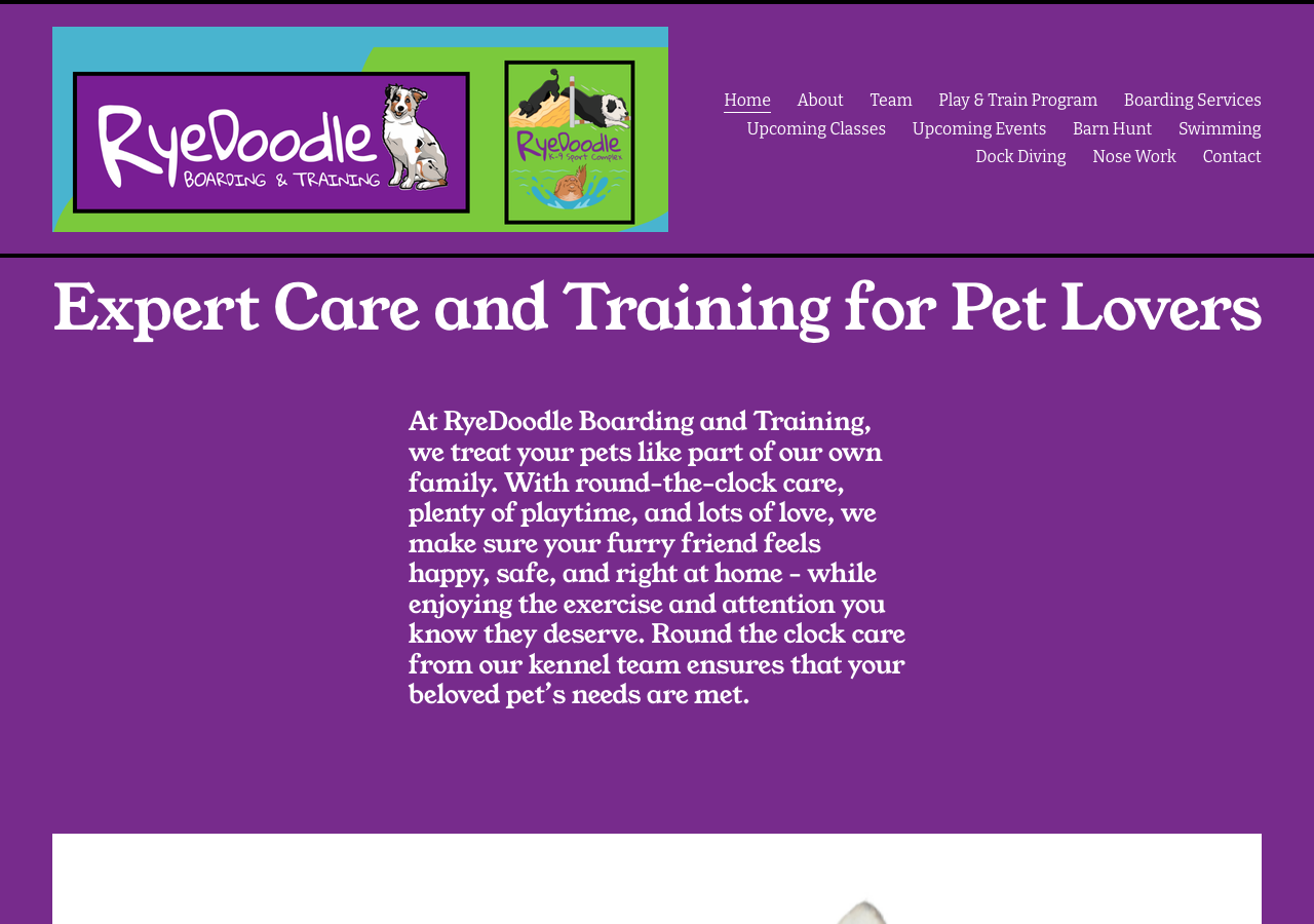Current website screenshot