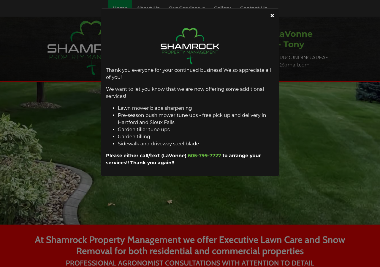 Current website screenshot