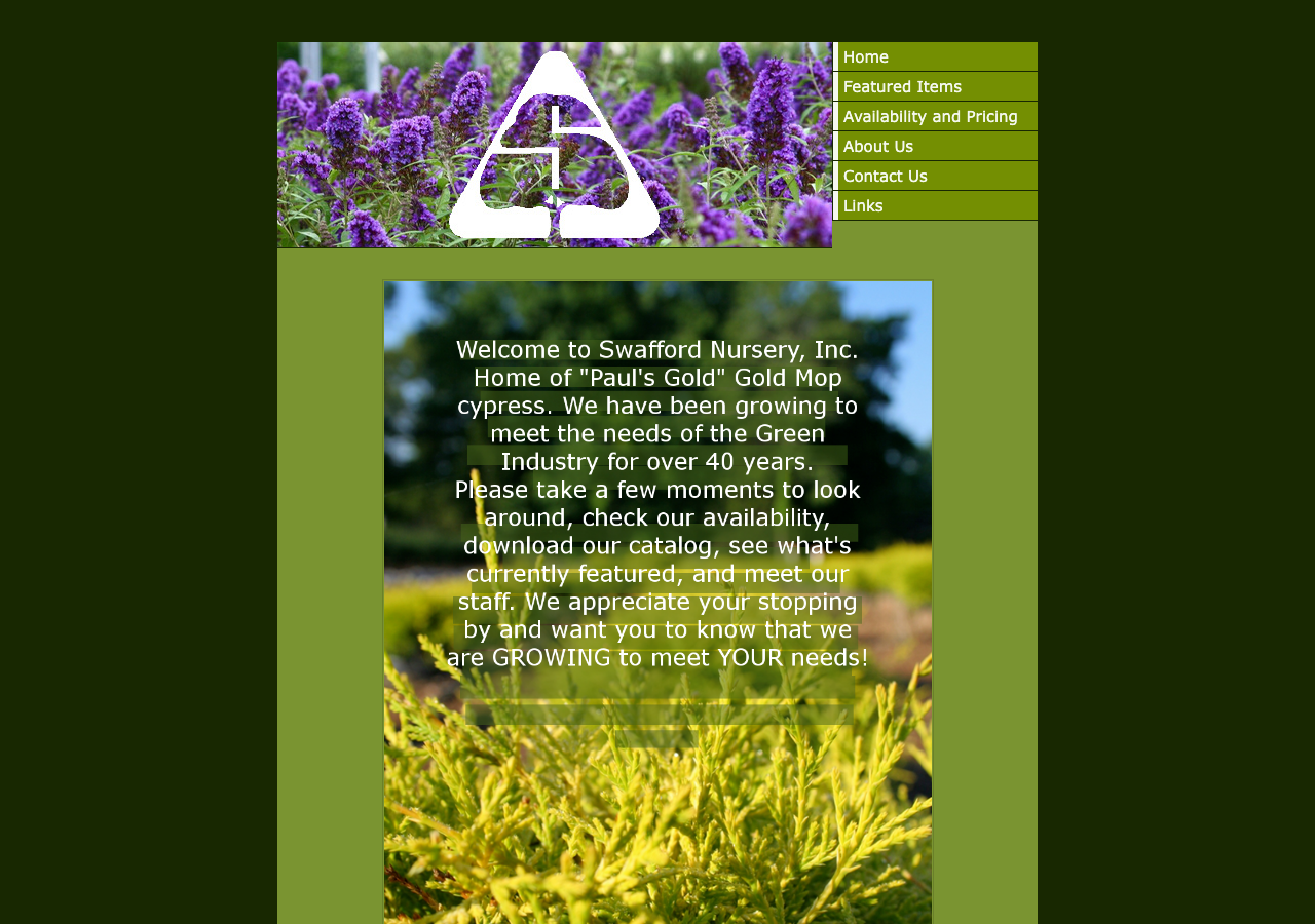 Current website screenshot