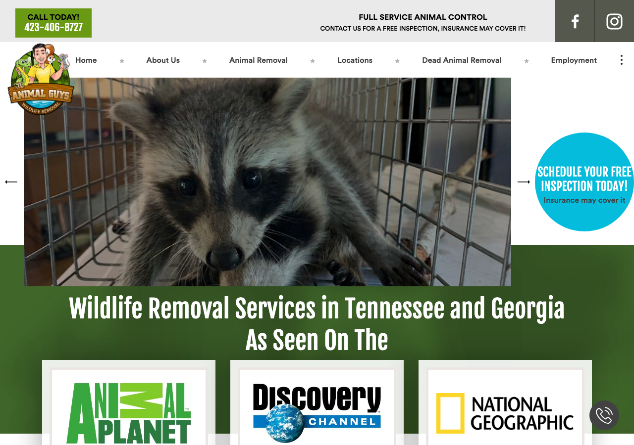 Current website screenshot