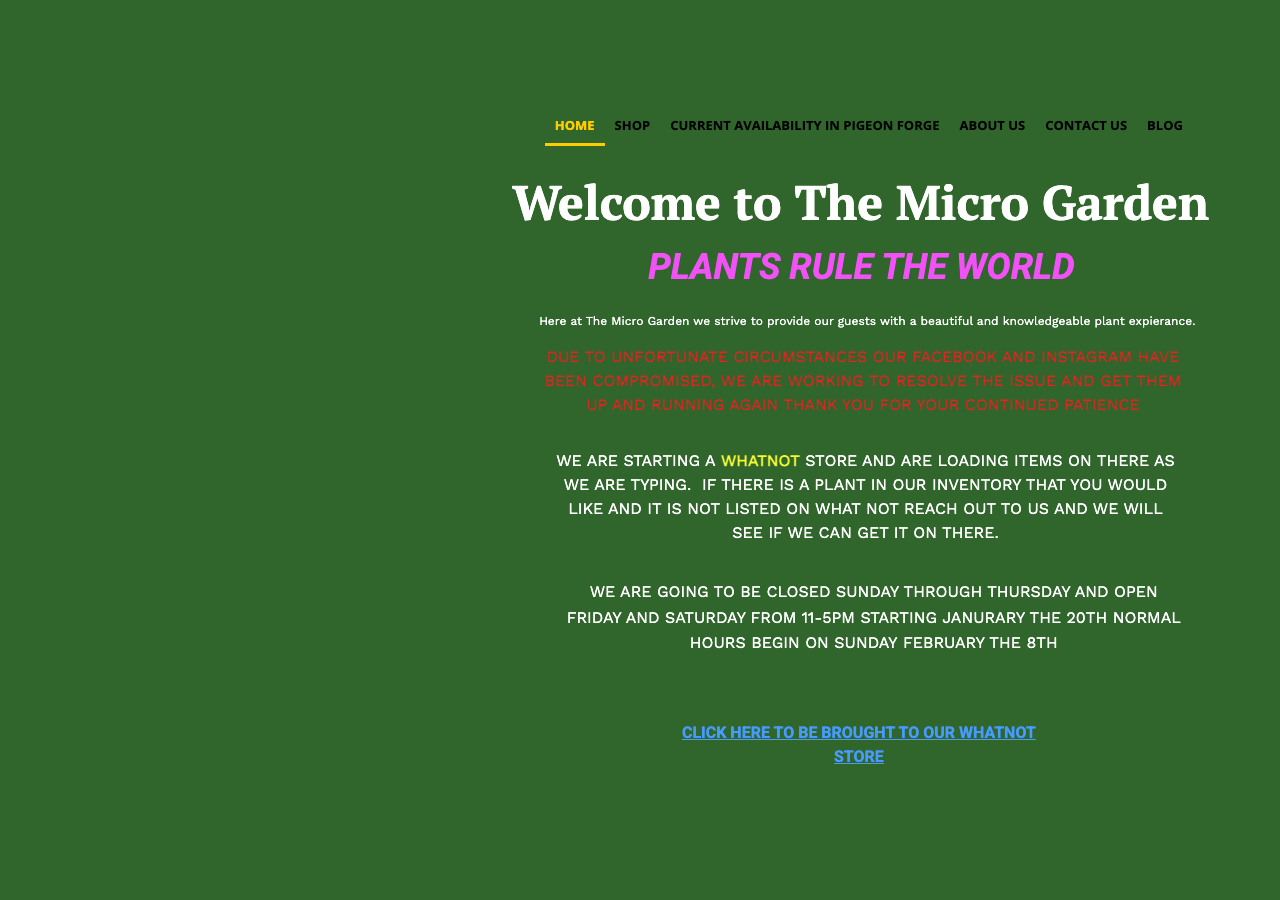 Current website screenshot