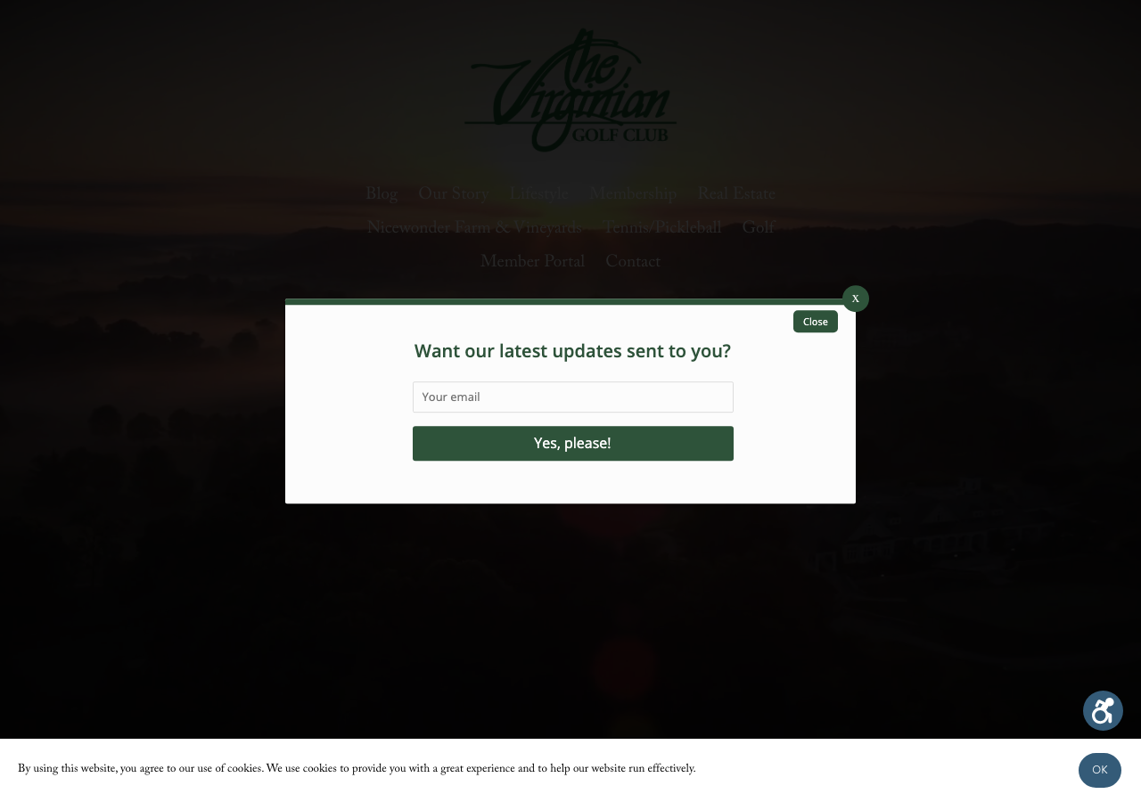 Current website screenshot