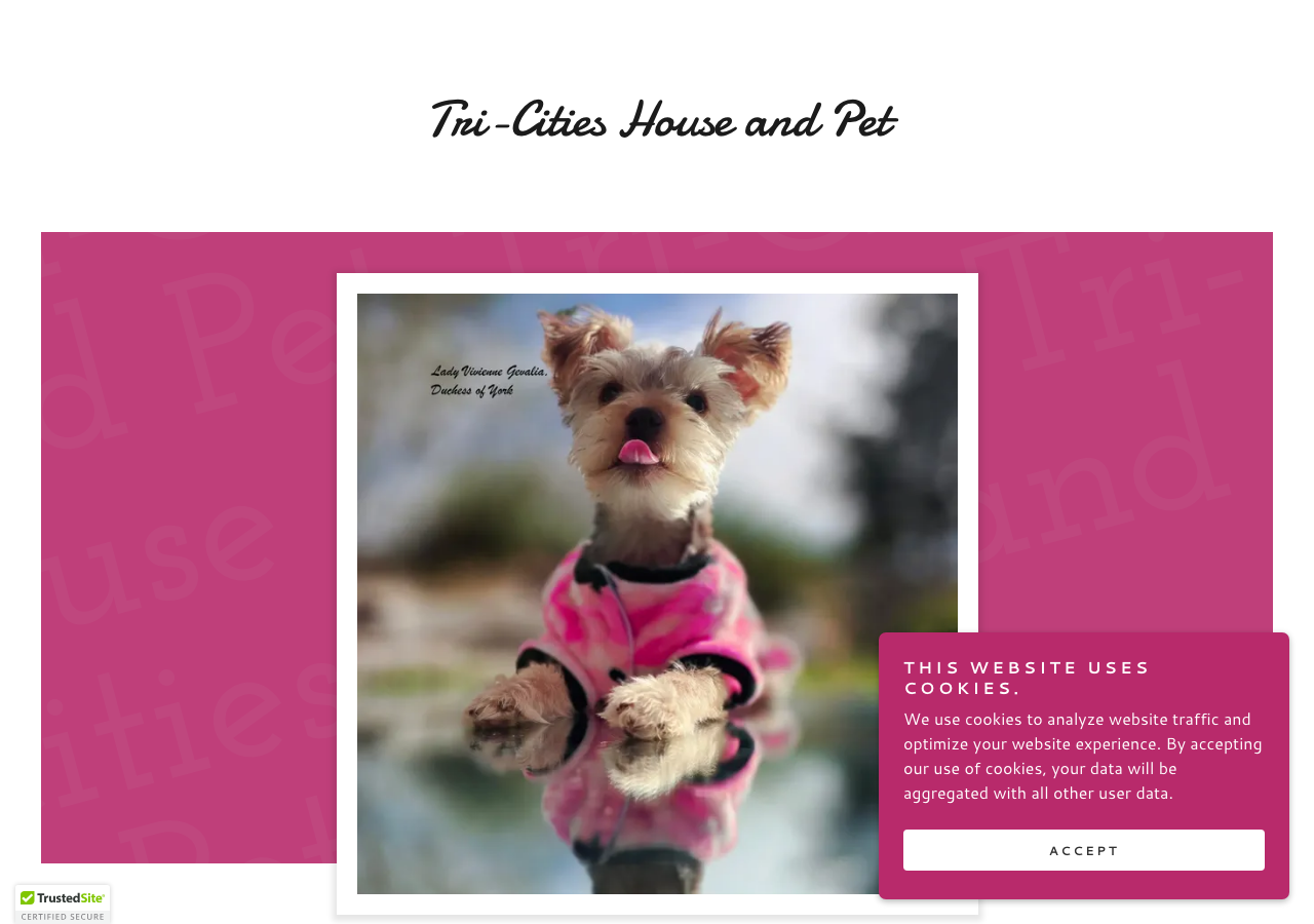 Current website screenshot