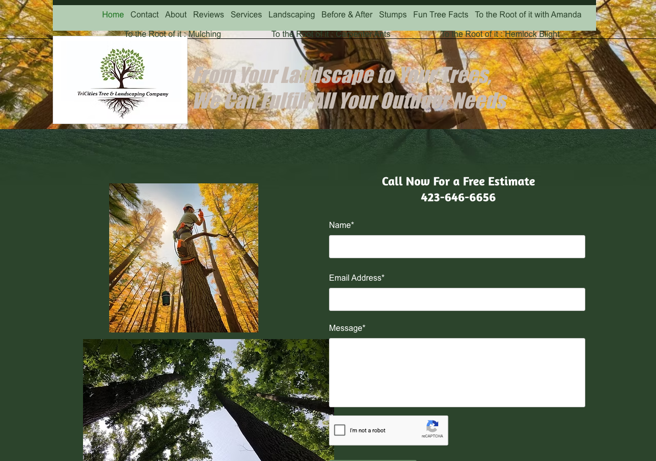 Current website screenshot