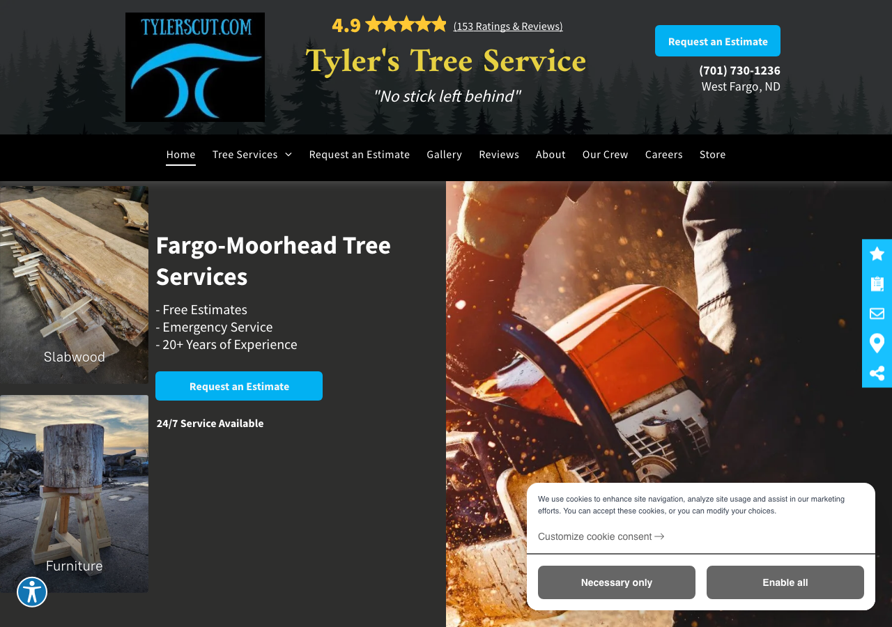 Current website screenshot