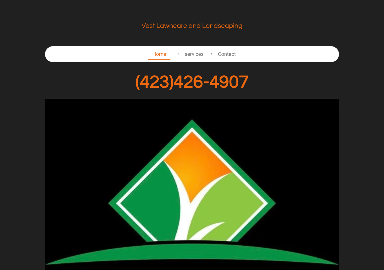 Current website screenshot