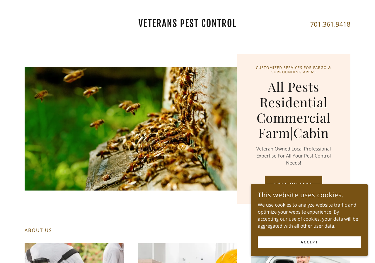 Current website screenshot