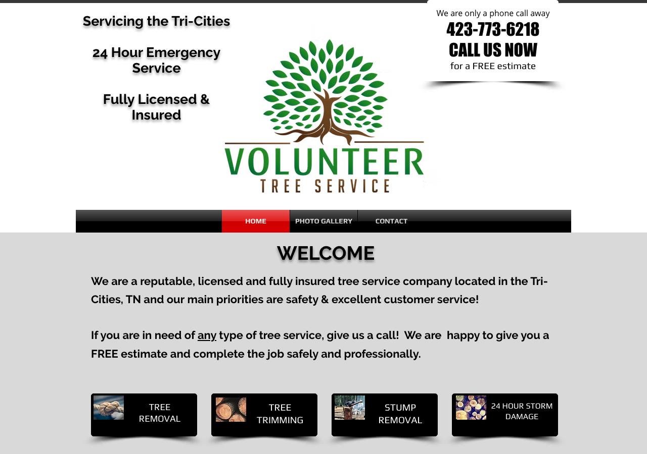 Current website screenshot