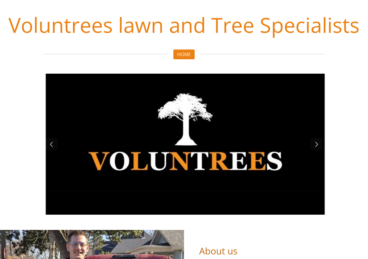 Current website screenshot
