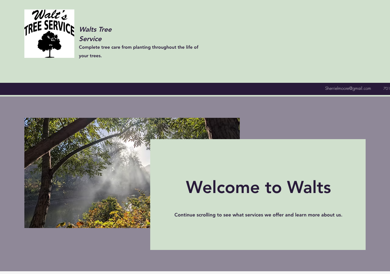 Current website screenshot
