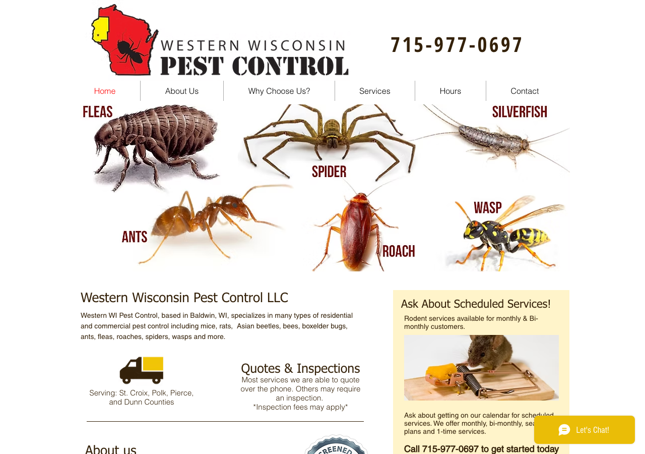 Current website screenshot