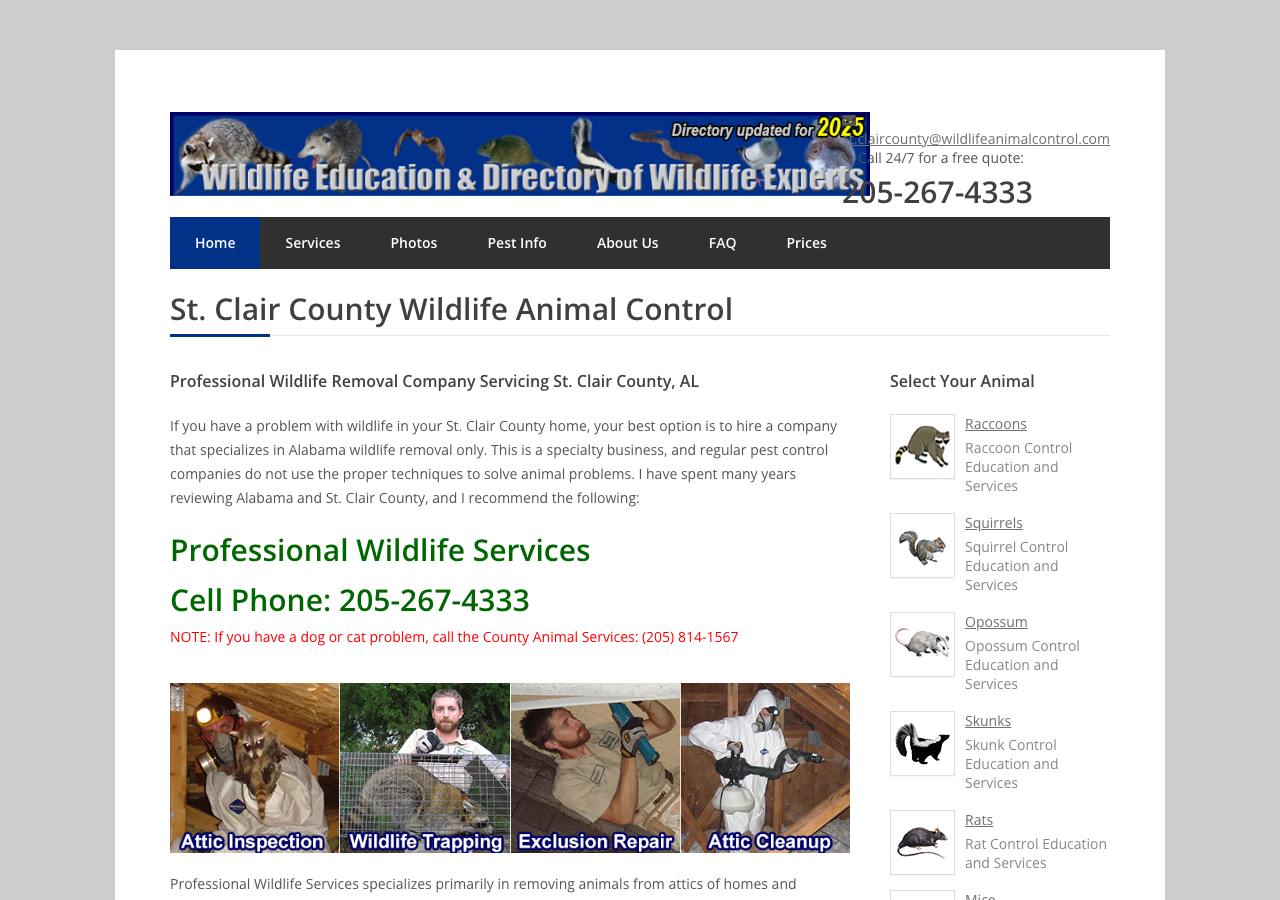 Current website screenshot