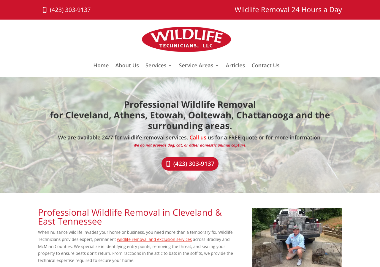 Current website screenshot