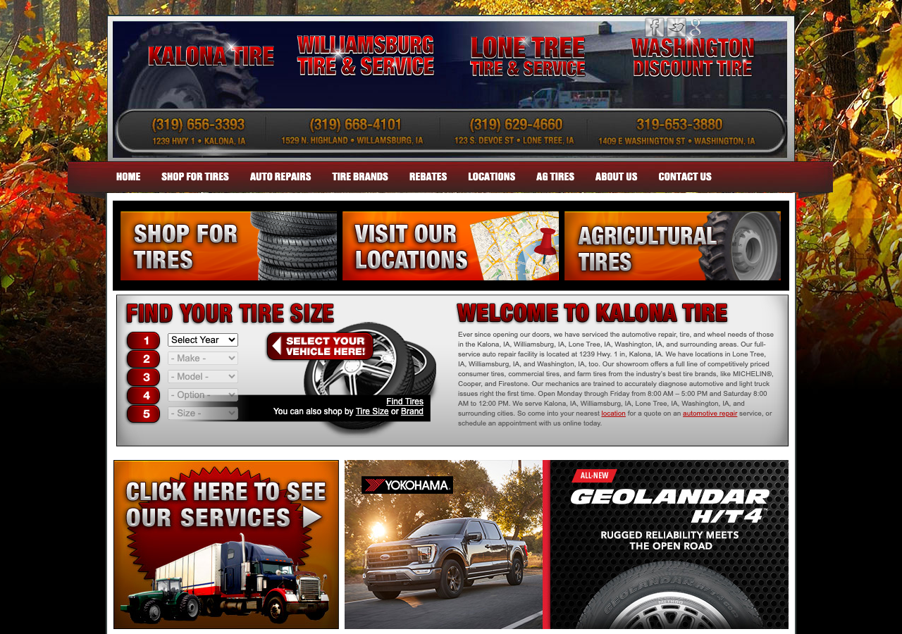 Current website screenshot
