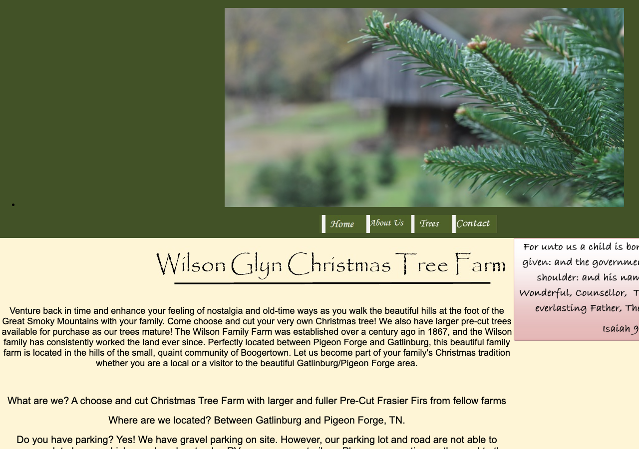 Current website screenshot