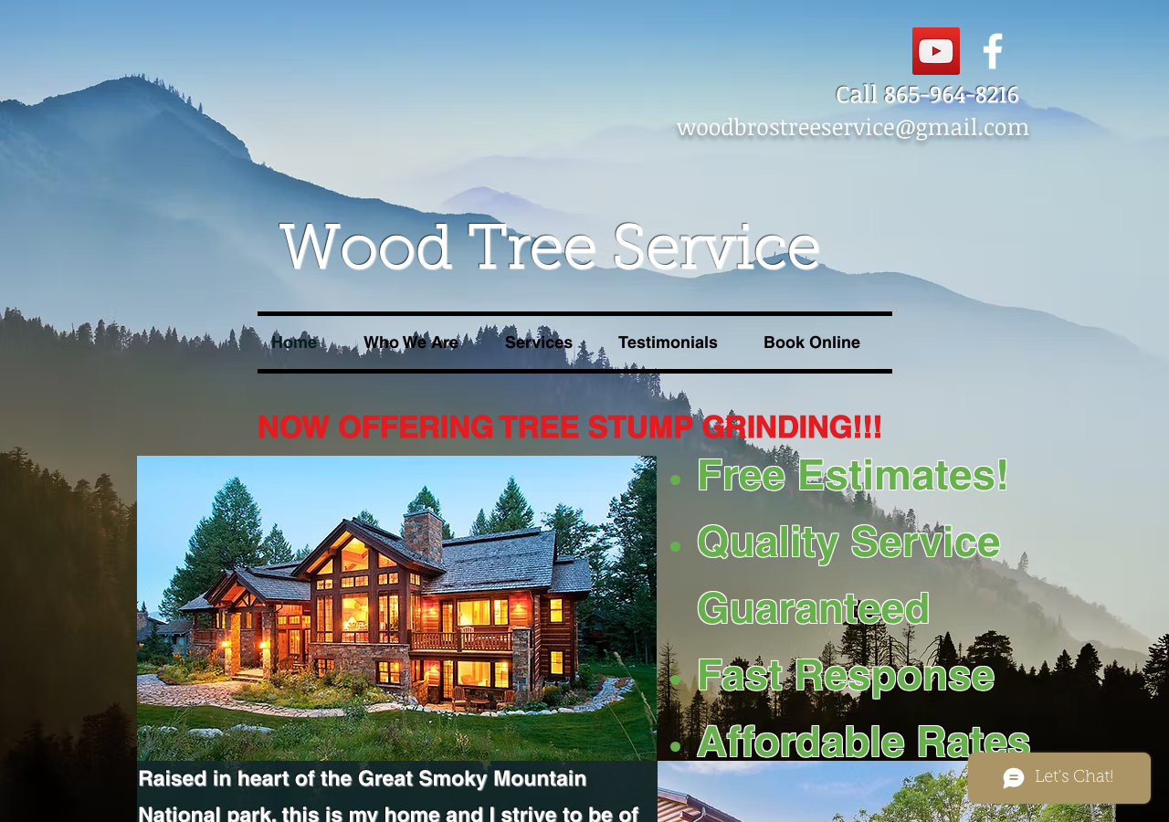 Current website screenshot
